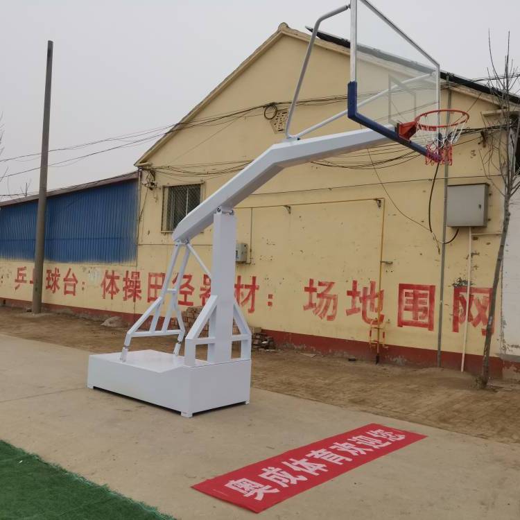 成人籃球架戶外標(biāo)準(zhǔn)可移動家用室外訓(xùn)練比賽落地式學(xué)?；@球框