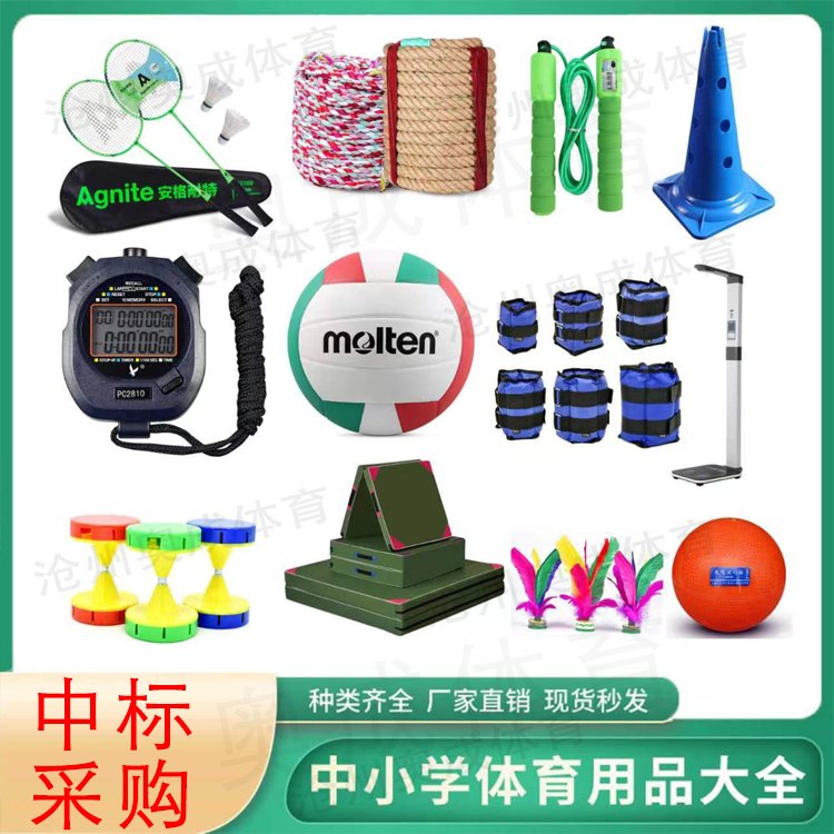 學(xué)校運(yùn)動(dòng)會(huì)器材初中用鉛球中小學(xué)中標(biāo)采購達(dá)標(biāo)體育教學(xué)設(shè)備