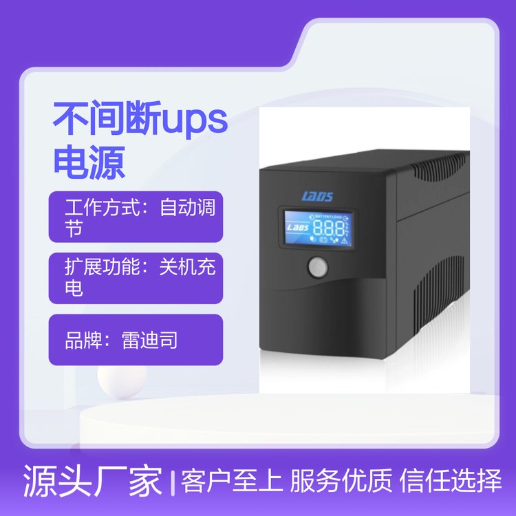 雷迪司H600不間斷UPS電源600VA360W