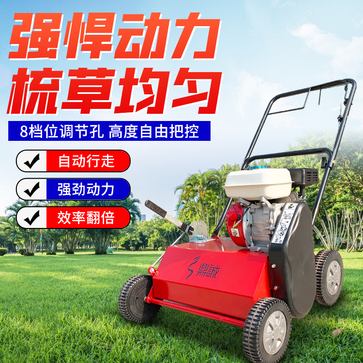 真草坪梳理機汽油自走人造草坪打理機草地草絲梳草機