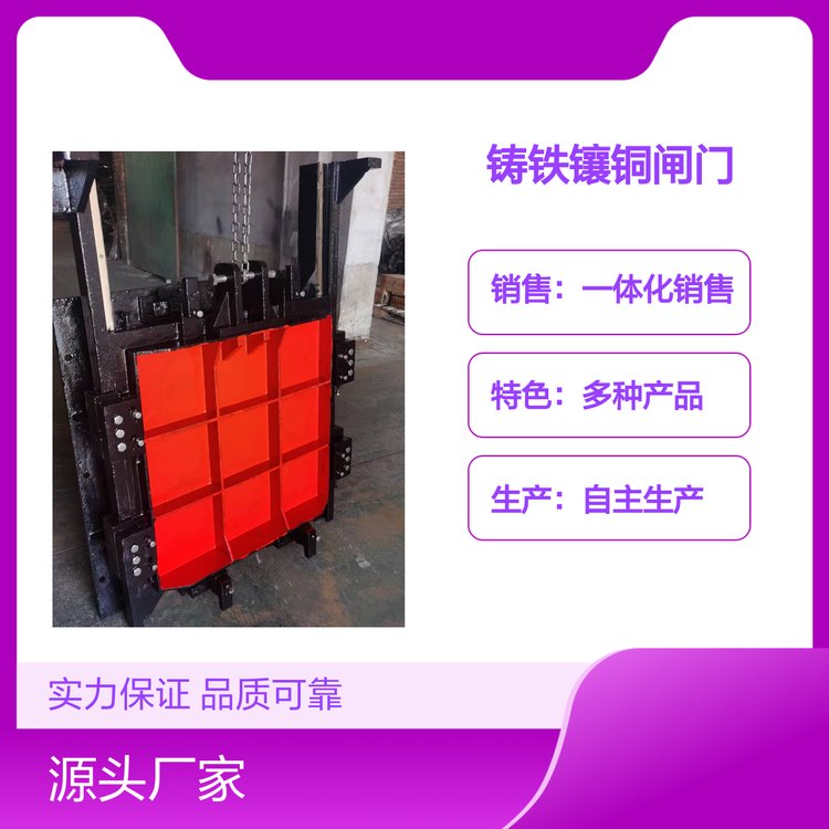 鑄鐵鑲銅閘門水工機(jī)械設(shè)備自主研發(fā)生產(chǎn)銷售一體