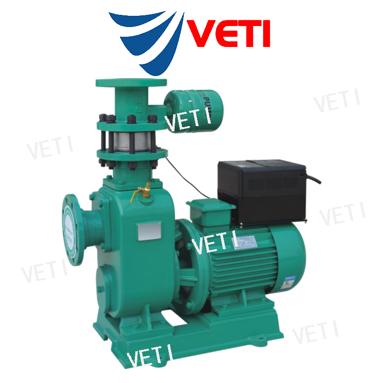 VETI\/威迪美國品牌進口變頻恒壓離心式自吸泵高揚程長壽命
