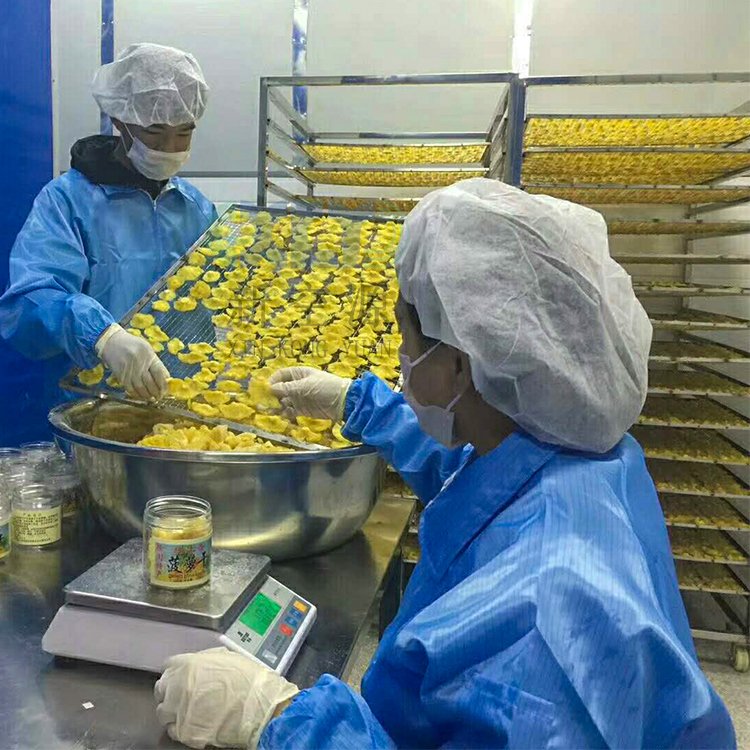 菠蘿干烘干機(jī)鳳梨干烘箱空氣能果脯蜜餞干燥設(shè)備丹萊全自動烘干房