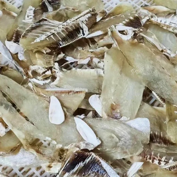 魚骨烘干機(jī)魚翅干燥設(shè)備空氣能海產(chǎn)品干燥箱全自動烘干設(shè)備新空源