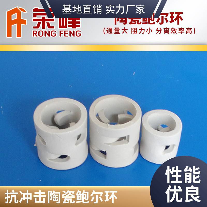 多規(guī)格陶瓷鮑爾環(huán)填料耐酸陶瓷環(huán)廠家供應可定制