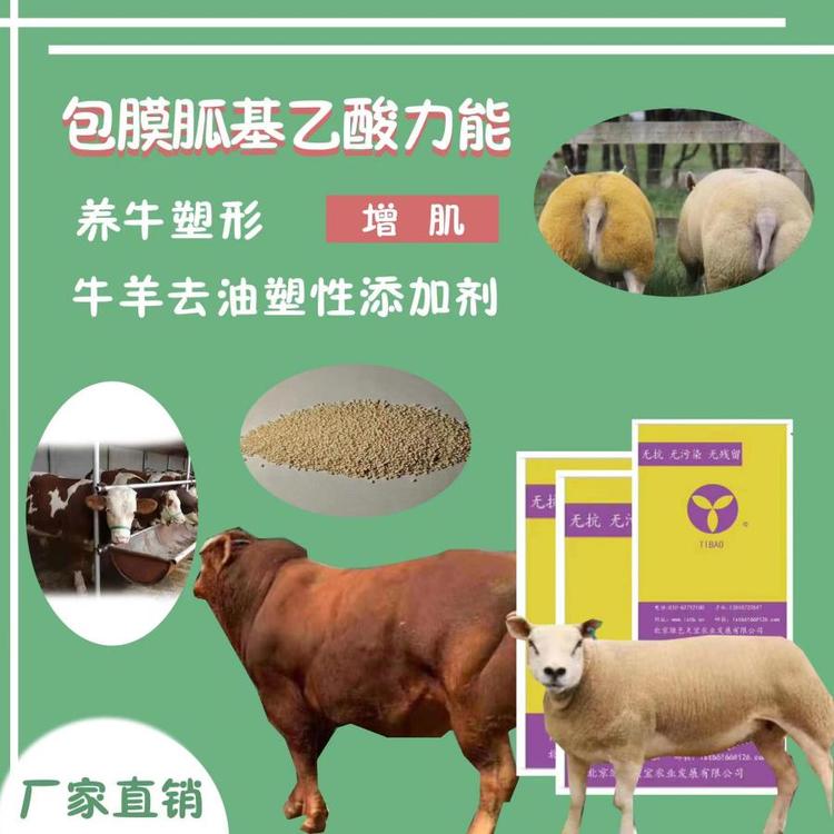 喂牛長(zhǎng)得快養(yǎng)牛催肥妙招養(yǎng)殖戶(hù)學(xué)起來(lái)用包膜胍基乙酸