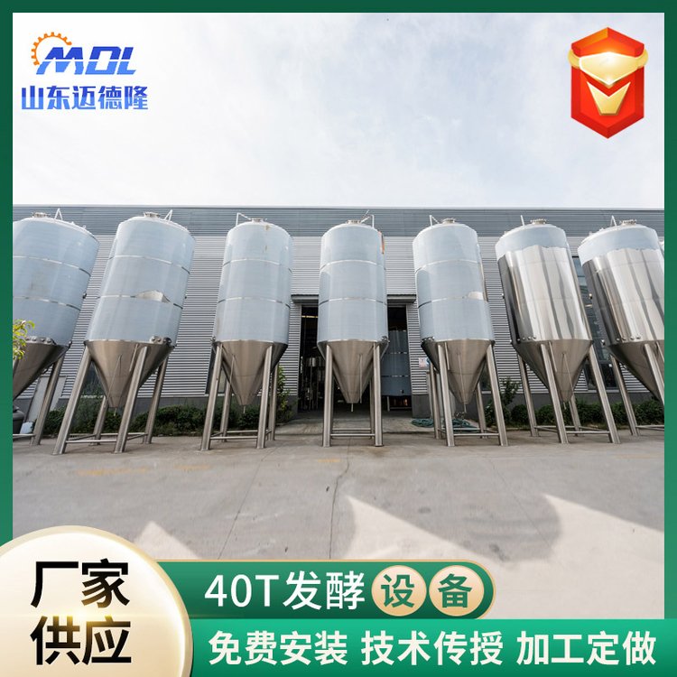 山東邁德隆大型啤酒發(fā)酵罐原漿鮮啤發(fā)酵帶乙二醇冷卻