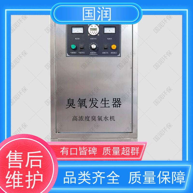 國潤臭氧消毒機水處理凈化85-120mg\/L高濃度