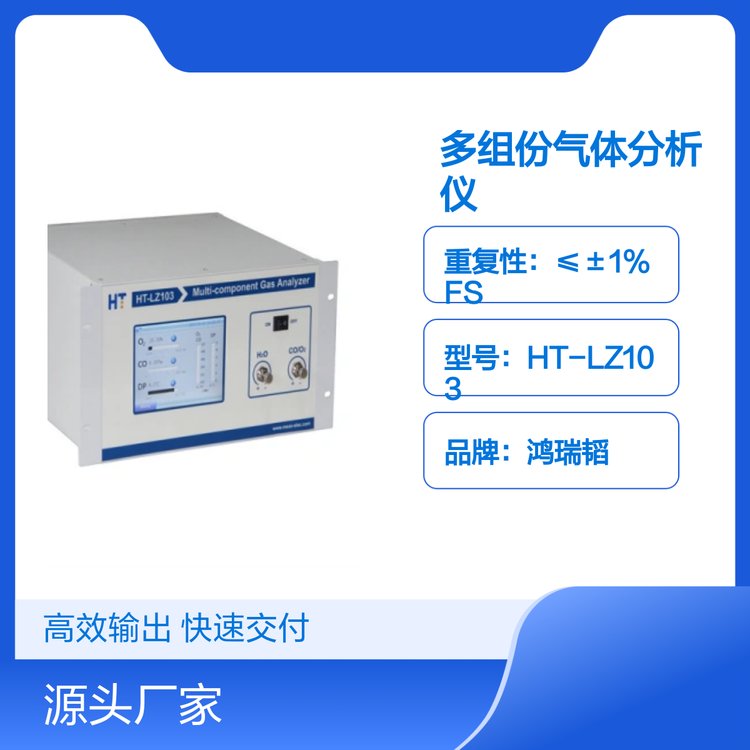 鴻瑞韜HT-LZ103多組份氣體分析儀測量精準(zhǔn)大屏顯示