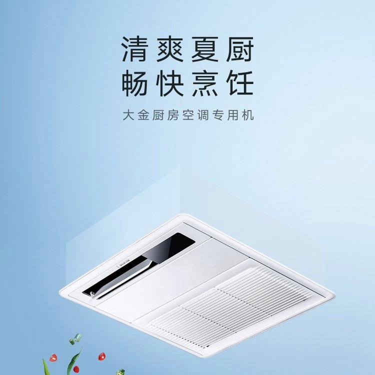 深圳大金中央空調廚房專用空調