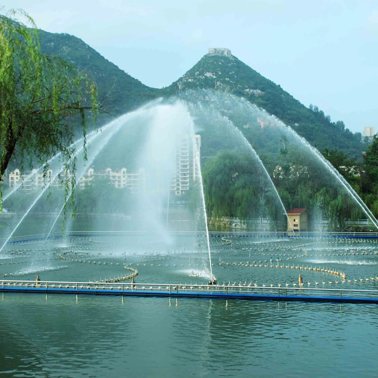七彩燈光音樂噴泉公園廣場跳泉森鑫源數(shù)控噴頭跑泉