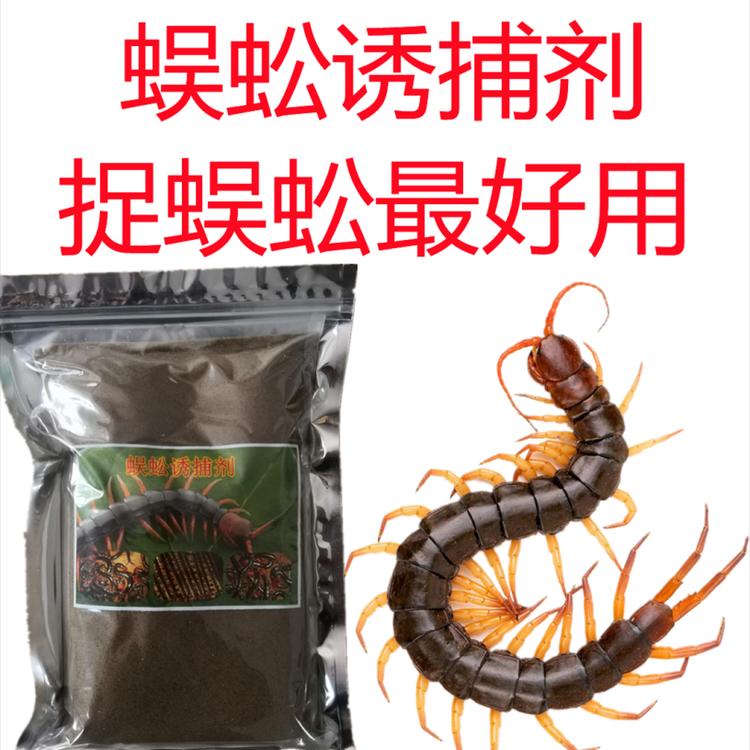 抓蜈蚣方法技巧誘食劑捕捉蜈蚣技術(shù)方法蜈蚣誘捕劑廠家