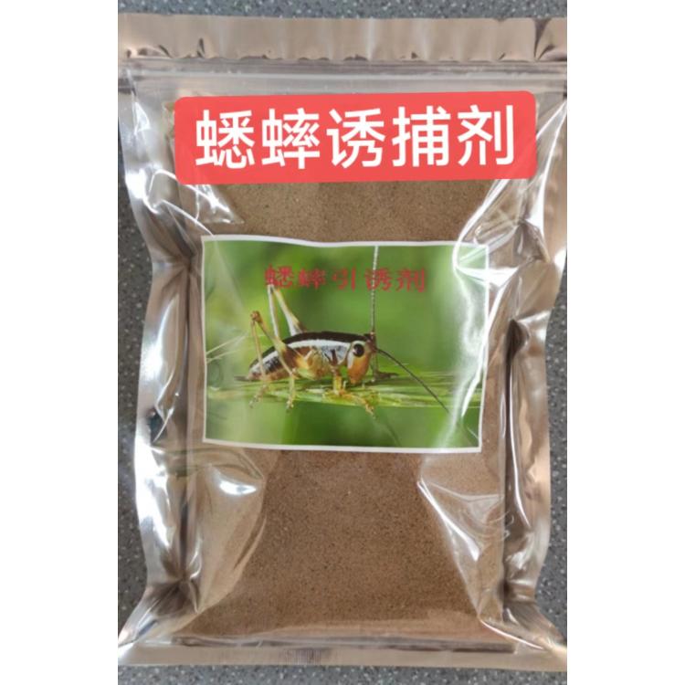 誘捕蟋蟀如何捉蟋蟀一天百斤大量捉蟋蟀方法蟋蟀誘捕劑批發(fā)