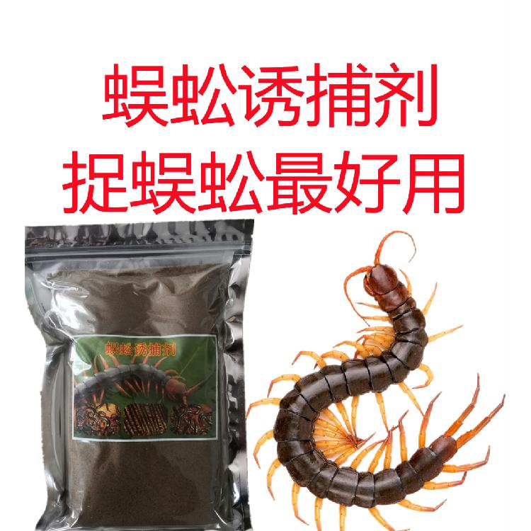 抓蜈蚣方法技巧誘食劑捕捉蜈蚣技術(shù)配方蜈蚣誘捕劑配置方法技術(shù)傳授
