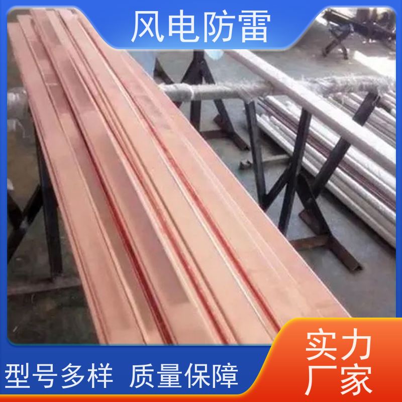 風電防雷質量保障可按需定做石墨材料阻值低50*5mm鍍銅扁鋼