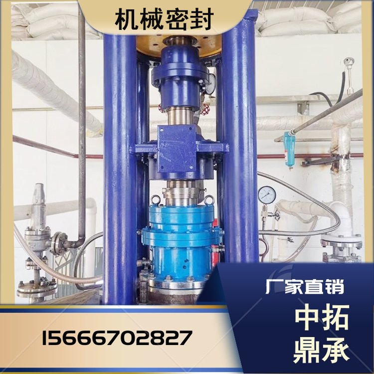 中拓鼎承化工生產(chǎn)205-65雙端面機(jī)械密封反應(yīng)釜配套設(shè)備規(guī)格齊全