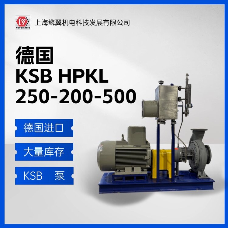 德國KSB原裝進口HPKL250-200-500臥式型藍色高溫導(dǎo)熱油泵