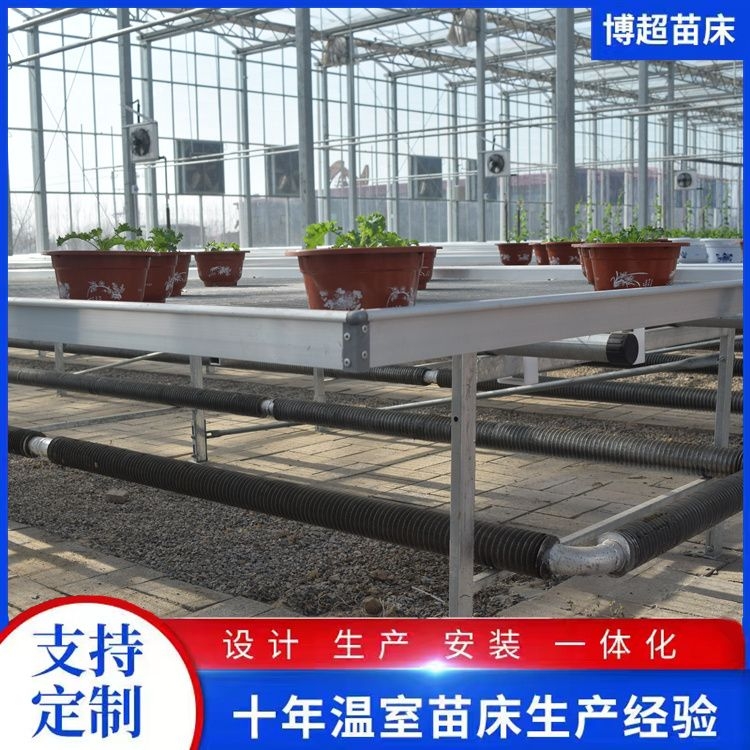 熱鍍鋅支架水培種植床定制網(wǎng)片苗床農(nóng)業(yè)種植專用