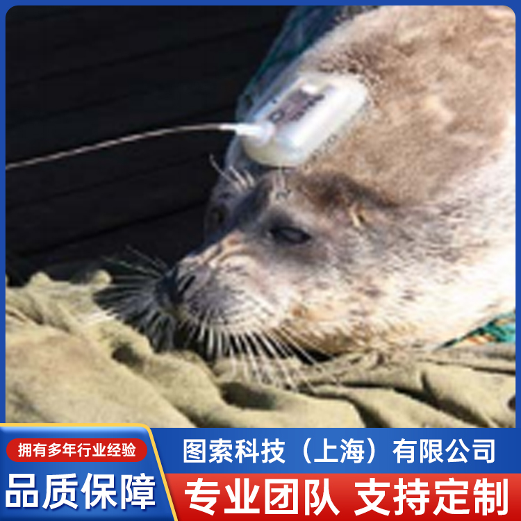 PRD-RP鏈夋晥璨�(f霉)杓夋仮寰�(f霉)瑷�(sh猫)鍌欑敤浜庨渶瑕佽拷韫ゆ(bi膩o)瑷樻垨鐩�(ji膩n)娓�(c猫)鐨勫牬(ch菐ng)鍚�