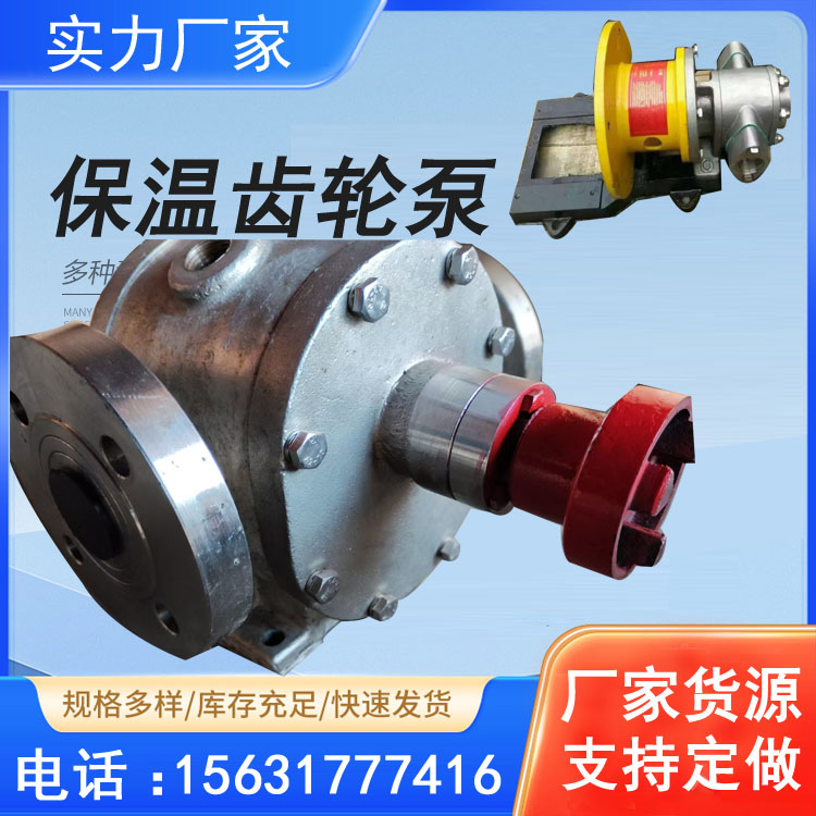 齒輪油泵小流量微型齒輪泵導熱油循環(huán)泵輸油泵