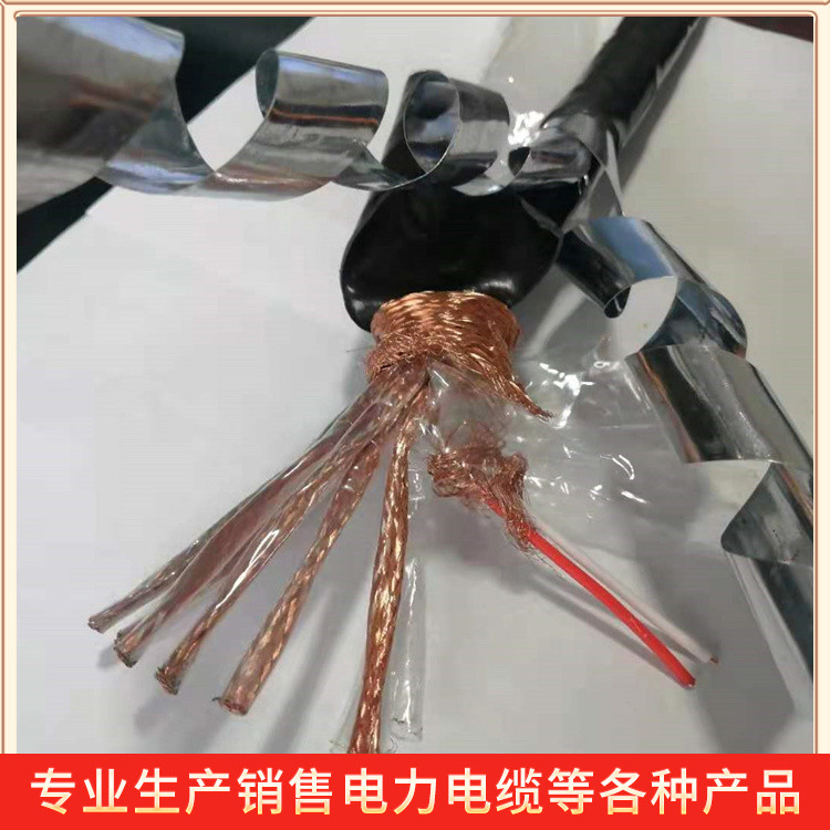 阻燃屏蔽計(jì)算機(jī)電纜聚氯乙烯絕緣信號銀順DJYVRP22多領(lǐng)域應(yīng)用