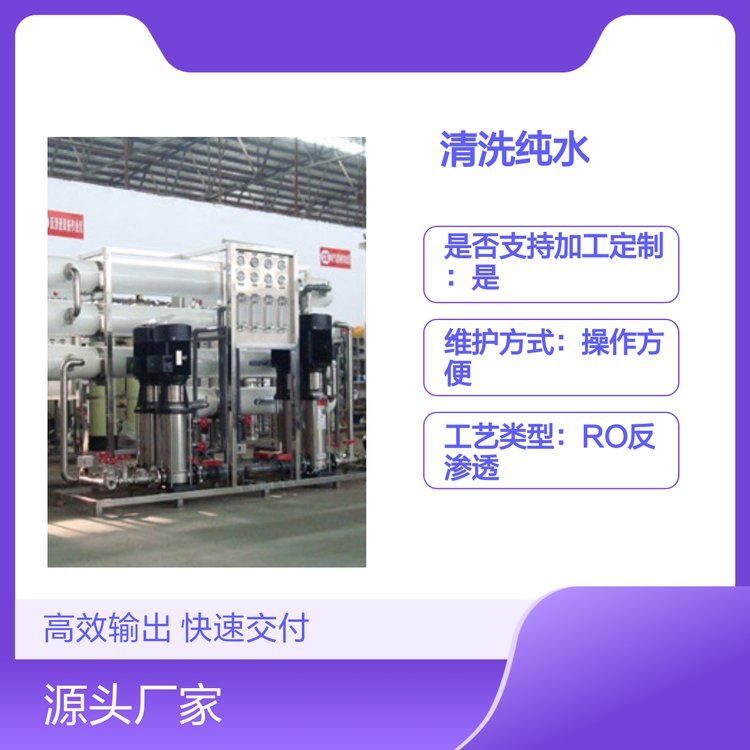汽車家電建材表面涂裝清洗純水設(shè)備工藝成熟運(yùn)行可靠