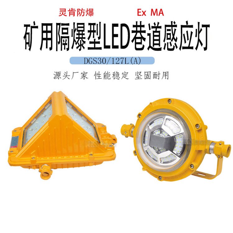 礦用防爆型LED感應燈DGS30\/127L(A)煤礦隔爆聲控燈低能耗無閃爍
