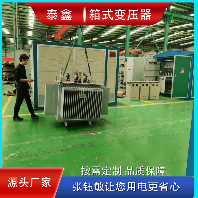 10KV戶外用箱式變電站歐式箱式變壓器新能效
