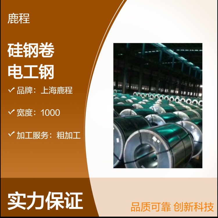 鹿程寬1000硅鋼卷精整表面粗加工過磅計(jì)重35WW250