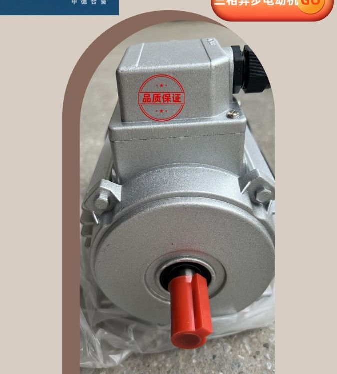 防水洗車電機(jī)IP65等級YS71240.37KW德東三相異步電動機(jī)