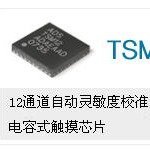 TSM12MC鍘熻ADS瑙告懜IC鍗佷簩閫氶亾瑙告懜鑺墖MLF32鍏ㄦ柊鐝�(xi脿n)璨═SM12