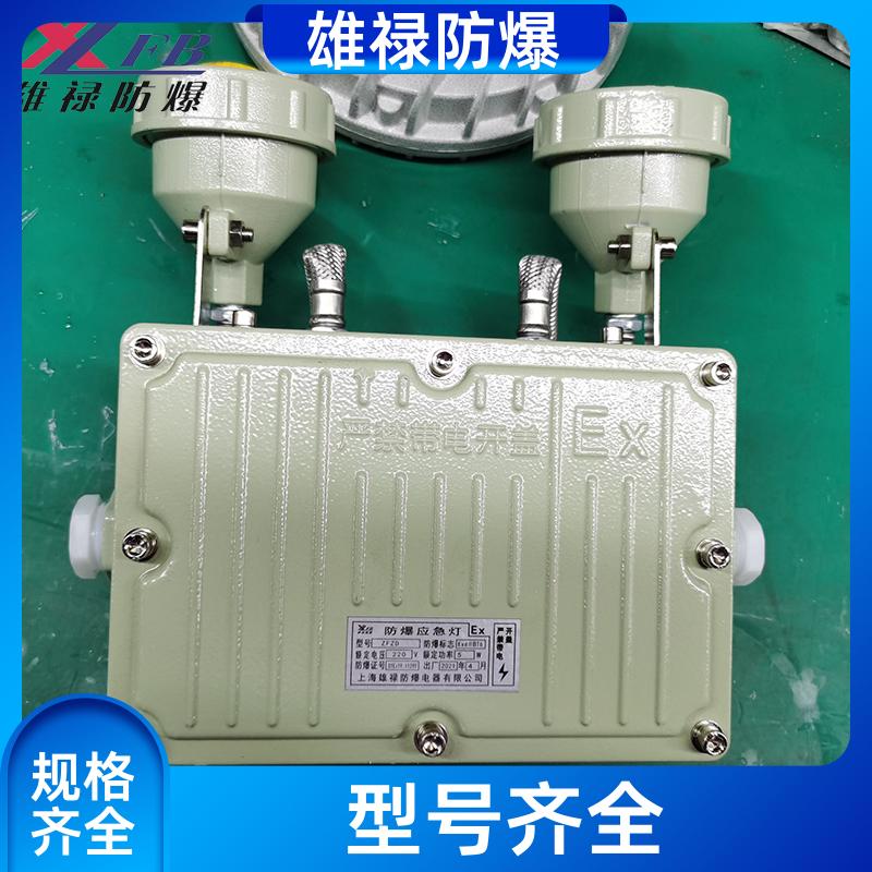 雄祿供應(yīng)鋁合金雙頭標(biāo)志燈復(fù)合式出口指示燈按需定制