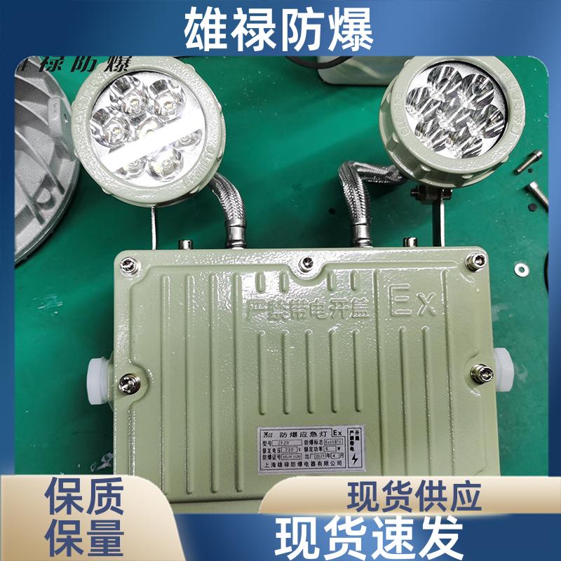 LED雙頭防爆標(biāo)志燈消防通道照明燈支持定制雄祿供應(yīng)