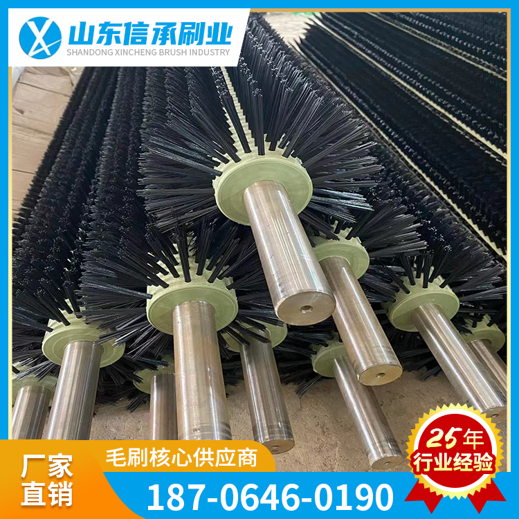生產(chǎn)工業(yè)尼龍耐磨毛刷輥廠家清掃毛刷耐高溫耐腐蝕抗靜電刷非標(biāo)