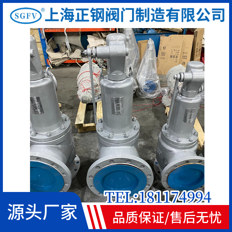DN50安全閥選型自然形成了靜電通道正鋼閥門流體阻力小