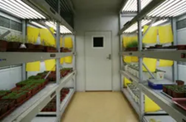華豫兄弟小型人工氣候室植物恒溫培養(yǎng)室實(shí)驗(yàn)型培養(yǎng)幼苗室