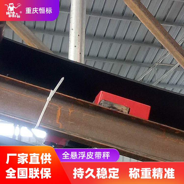 恒標高精度計量雙托輥皮帶秤定量輸送設備上門安裝調(diào)試