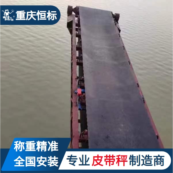 重慶恒標電子計量陣列式皮帶秤全懸浮稱重橋架上門安裝調(diào)試
