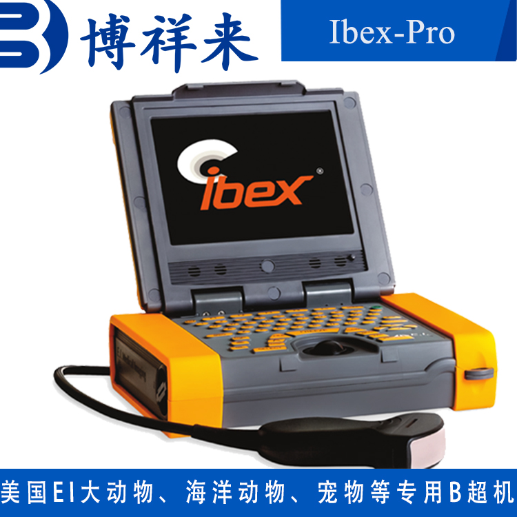 美國進(jìn)口羊用B超機(jī)羊多胎檢測儀器128陣元MC8.0高頻微凸探頭Pro