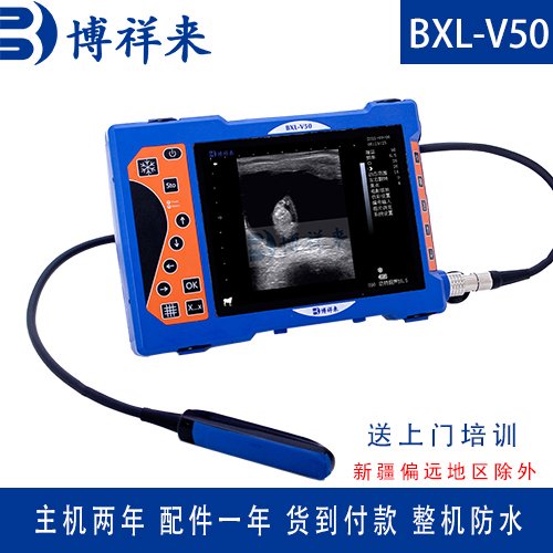 馬用b超機(jī)博祥來動(dòng)物測(cè)孕儀母馬妊娠檢查儀器廠家直發(fā)包郵售后