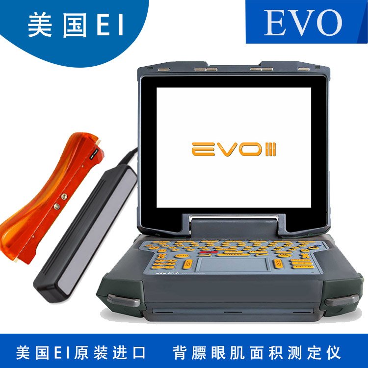 眼肌面積測量儀器豬牛羊背膘厚度脂肪含量測定儀