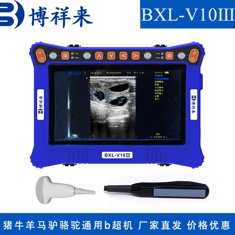 牛羊通用B超測(cè)孕儀博祥來(lái)高清獸用b超機(jī)養(yǎng)殖設(shè)備包郵包售后