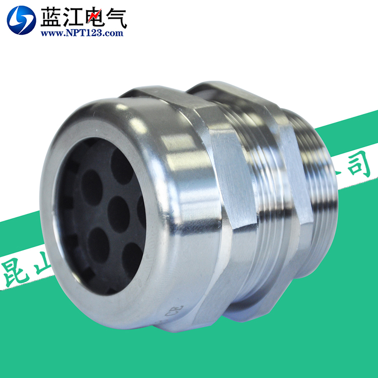 藍(lán)江六孔不銹鋼電纜密封接頭IP68防水鎖緊6根電線格蘭頭現(xiàn)貨