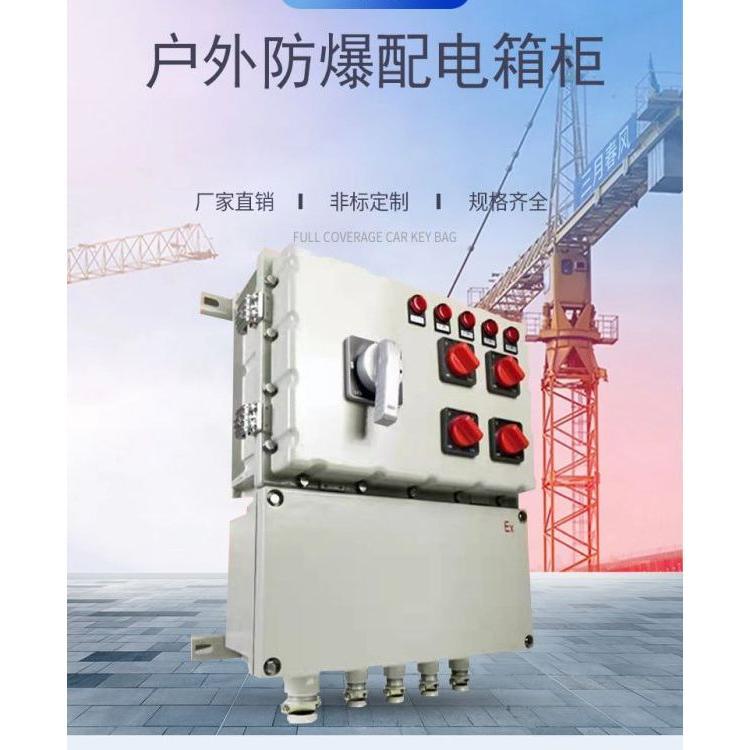 三樂照明防腐防塵控制箱ExdIIBT4制藥廠不銹鋼防爆配電箱