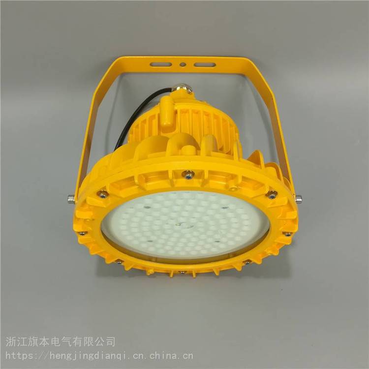 NPK5063_NPK5063-LED50W防爆平臺燈隔爆型泛光燈經(jīng)久耐用外殼堅固