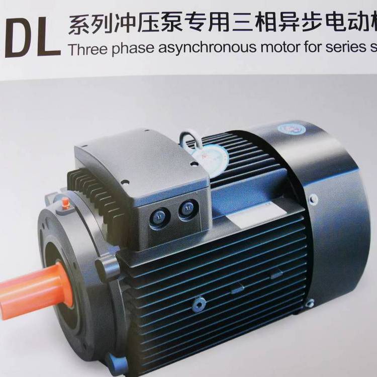 供應(yīng)開元電機(jī)ADL系列沖壓泵專用三相異步電動機(jī)通用化程度高