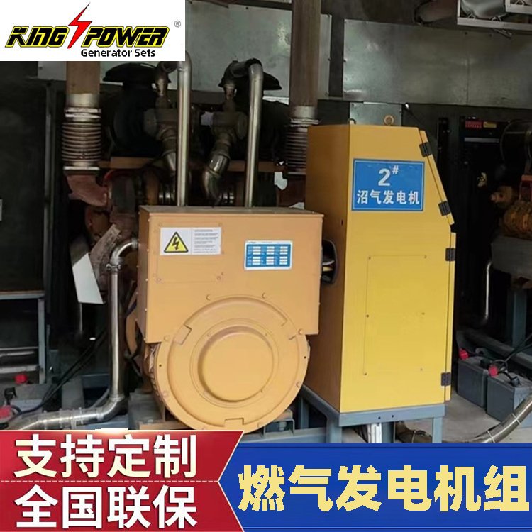 工業(yè)然氣發(fā)電機組廚余垃圾填埋氣可發(fā)電一體化大型設(shè)計設(shè)備