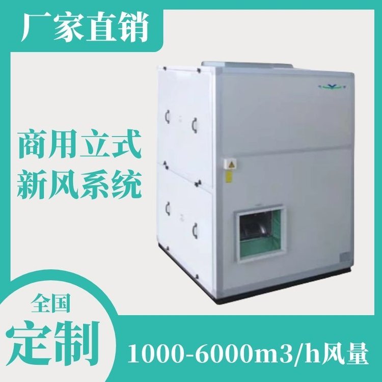 立式新風(fēng)換氣機商用靜音高效可定制雙向流新風(fēng)