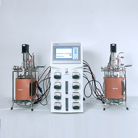 霍爾斯HOLVES實(shí)驗(yàn)室雙聯(lián)發(fā)酵罐Twin220專業(yè)靠譜質(zhì)量好