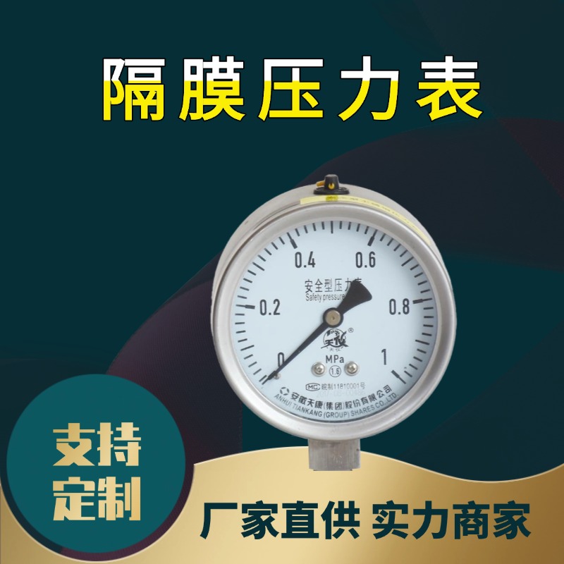 Y-100B數(shù)量化測(cè)量廠(chǎng)家供應(yīng)現(xiàn)貨充足隔膜壓力表天康